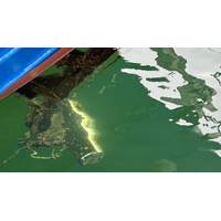 Image courtesy Teledyne Marine