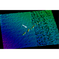 Image: Teledyne Optech