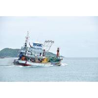 © isuaneye / Adobe Stock