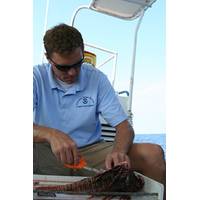 Dr. James Morris & Lionfish: Photo credit NOAA