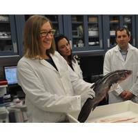 Karina Gould, Minister for Democratic Institutions, on behalf of Dominic LeBlanc, Minister of Fisheries, Oceans and the Canadian Coast Guard, announces new funding for the fight against Asian carps. (Photo: Fisheries and Oceans Canada)