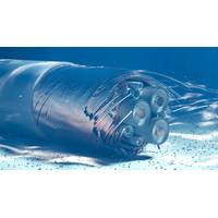 © katestudio / Adobe Stock