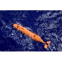 Kongsberg Hugin 1000 AUV - (Photo from the press release)