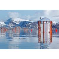 KOSMOS mesocosms in Kongsfjord, Svalbard. (Image credit: Signe Klavsen, GEOMAR)