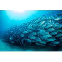 © leonardogonzalez / Adobe Stock