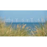 © Lois GoBe / Adobe Stock