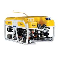 The Lynx can accommodate a wide array of cameras (Image: Saab Seaeye)