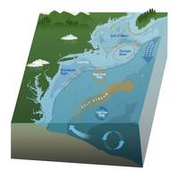 The major currents in the Gulf of Maine and northwest Atlantic are depicted in this illustration. The Gulf of Maine is predicted to experience cooler bottom waters this year, which may improve conditions for important groundfish and lobster populations. Credit: NMFS