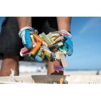 A marine debris team member gathers a handful of disposable cigarette lighters picked up at a beach cleanup site. (NOAA)