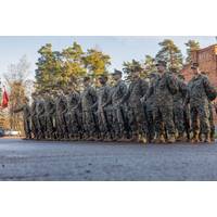 U.S. Marines participate in the Swedish Heritage Parade in Dragsvik, Finland, Nov. 6, 2024. U.S. Marines assigned to Marine Rotational Force – Europe are in Finland to participate in exercise Freezing Winds 24, an annual Finnish-led maritime exercise which serves as a venue to increase Finnish Naval readiness and interoperability between NATO partners and allies in and around the Baltic Sea. (U.S. Marine Corps photo by Lance Cpl. Christian Salazar)