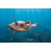 © Mark / Adobe Stock