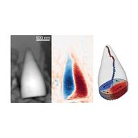 Dr C.M. Martin-Jones / University of Cambridge