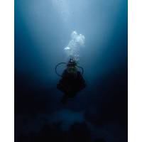 © Mary / Adobe Stock