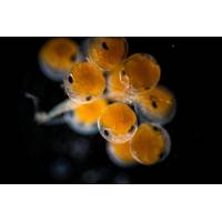 © Matteo Ciani / Adobe Stock