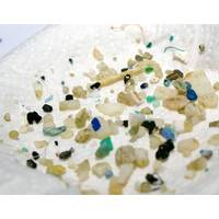Microplastic fragments from the western North Atlantic, collected using a towed plankton net. (Photo: Giora Proskurowski, Sea Education Association (SEA).)