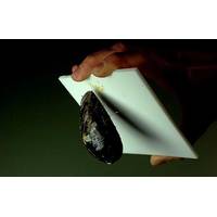 A mussel holds onto a Teflon sheet by a tiny strand. Mussel Polymers Inc. (MPI) – a startup created by Wardenclyffe Chemicals Inc., a technology development company – is ready to take sea-inspired adhesives from Purdue to market. (Image courtesy: https://news.uns.purdue.edu)