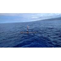 Next generation Wave Glider heading out to sea (Photo: Liquid Robotics, A Boeing Company)