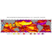 NOAA Coral Reef Watch's global 5km-resolution satellite Coral Bleaching Alert Area Maximum map, for January 1, 2023 to April 10, 2024. This figure shows the regions, around the globe, that experienced high levels of marine heat stress (Bleaching Alert Levels 2-5) that can cause reef-wide coral bleaching and mortality. (Image: NOAA)