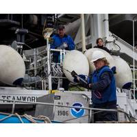 NOAA ships spent the last several days preparing for their Arctic missions. Here, Chief Bosun Jim Kruger (front) works with Jason Kinyon and Lindsey Houska on NOAA Ship Rainier as they get ready to depart this week for the summer's first Arctic survey project, in Kotzebue Sound.(Credit: NOAA)