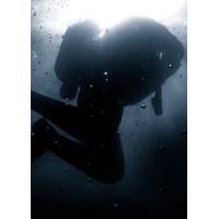 Photo: JFD
