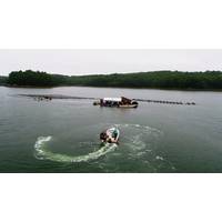 Photo: Aditya Mehrotra/Department of MechE - MIT