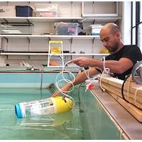 Photo courtesy of Francisco Jeldres / Massachusetts Institute of Technology 