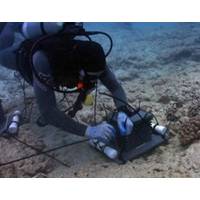 Photo courtesy of NOAA/Interstate Plastics