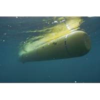 Photo credit Phil Sammet, MBARI.