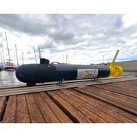 (Photo: ecoSUB Robotics)