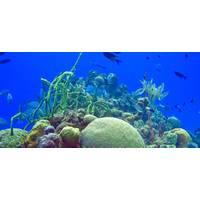 Photo: National Oceanic and Atmospheric Administration