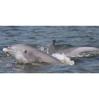 Photo: National Oceanic and Atmospheric Administration