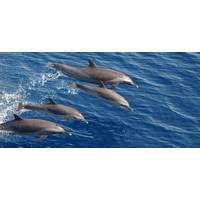 Photo: National Oceanic and Atmospheric Administration