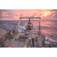 (Photo: Schmidt Ocean Institute)