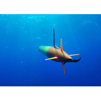 Photo: Schmidt Ocean Institute