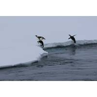 Photo: Scotty Lewis