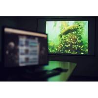 Photo: SubC Imaging
