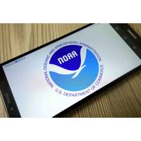 © piter2121 - stock.adobe.com