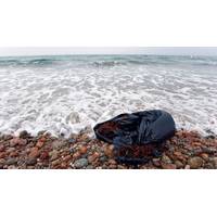 Plastic waste is ubiquitous in the global environment. A new report highlights plastic pollution as a grave and growing danger to health (Tom Kleindinst © Woods Hole Oceanographic Institution)