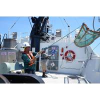 Professional mariners deploy equipment used for shark research on NOAA Ship Oregon II. (NOAA Marine and Aviation Operations/ENS Justin Weeks)