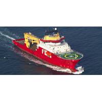 Reef's CSV Polar King