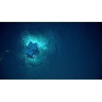 The remotely operated vehicle, Deep Discoverer, imaging the seafloor off American Samoa during an expedition in 2017. (Image credit: NOAA OER)