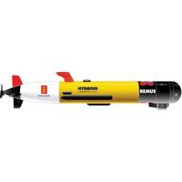 The REMUS 100 a compact light-weight Autonomous Underwater Vehicle.