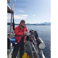 Rhonda Reidy preparing the AZFP for prey mapping just moments after tagging a whale. (photo credit: Jessica Qualley).