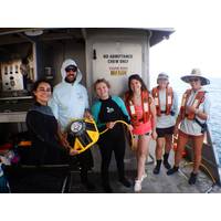 Sanctuary staff holding Bob just before installation in June 2023. © Flower Garden Banks National Marine Sanctuary 