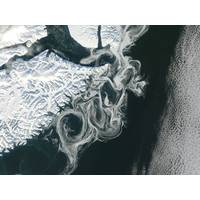 Satellite image of fine-scale currents with drifting sea-ice near eastern Greenland. Image Credit NASA