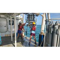 Scientists retrieve the CTD (conductivity, temperature, depth) sensor package after profiling dissolved oxygen at a station on the Shelfwide Hypoxia Cruise. (Image credit: Courtesy of Cassandra Glaspie/LSU)  