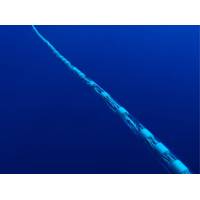 SEA’s KraitArray sonar (Photo: SEA)