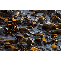 © Sebastian / Adobe Stock