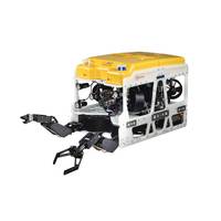 The new ship comes with a Saab Seaeye Cougar XTi as a key on-board resource package (Photo: Saab Seaeye)