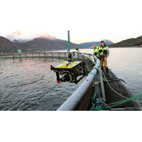 SINTEF Ocean hosted trials at its facility in Trondheim, Norway. Image from SINTEF Ocean.